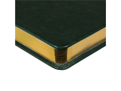 Ежедневник недатированный А5 Megapolis Nebraska