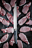 Нож для мяса Storm - Фото 3