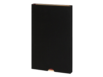 Ежедневник недатированный А5 Chelsea