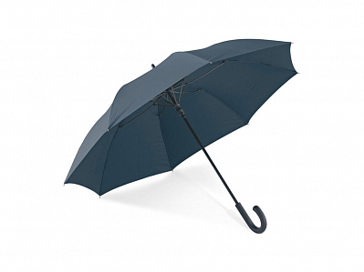 Зонт с автоматическим открытием ALBERT (Синий)