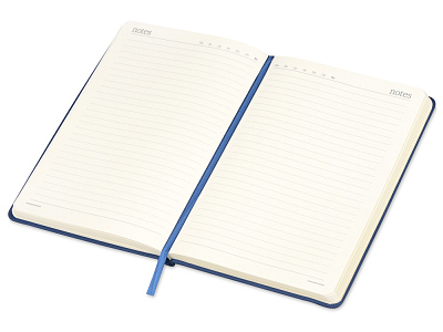 Подарочный набор Megapolis Velvet: ежедневник А5 , ручка шариковая