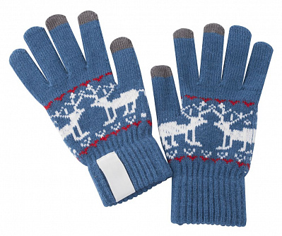 Сенсорные перчатки Raindeer, синие (Синий)