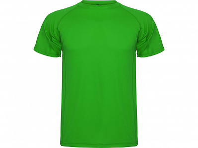 Спортивная футболка Montecarlo мужская (Папоротниковый)