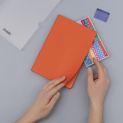 Ежедневник Латте (Latte NEW) недатированный, оранжевый/оранжевый