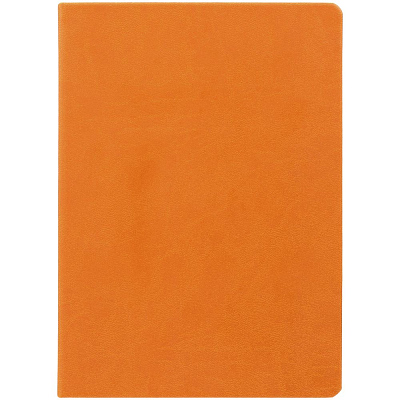 Ежедневник Basis, датированный, оранжевый