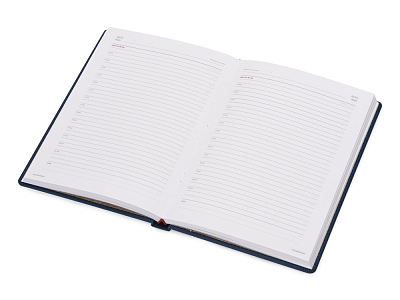 Ежедневник недатированный А5 Velvet