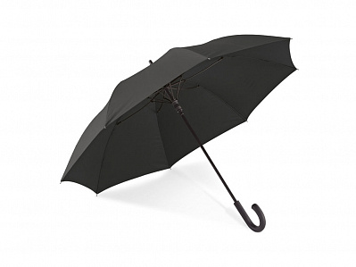 Зонт с автоматическим открытием ALBERT (Черный)