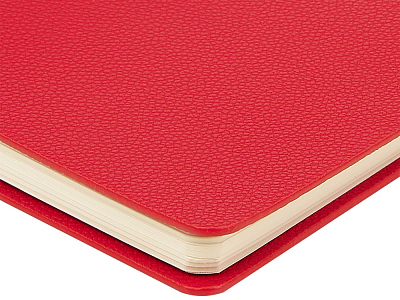 Ежедневник недатированный А5 Alba