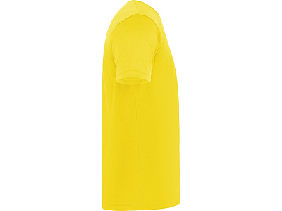 Спортивная футболка Daytona мужская