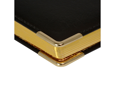 Ежедневник недатированный А5+ Persona