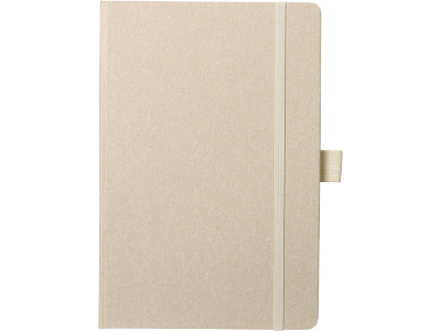 Блокнот А5 Snow Hard