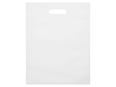 Сумка для выставок Prime, 80 г/м2