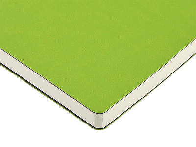 Ежедневник недатированный А5 Agenda