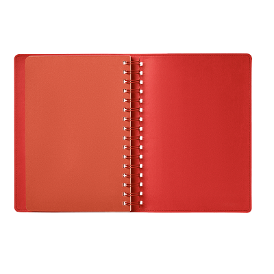 Ежедневник Виста (Vista) недатированный, черный/красный