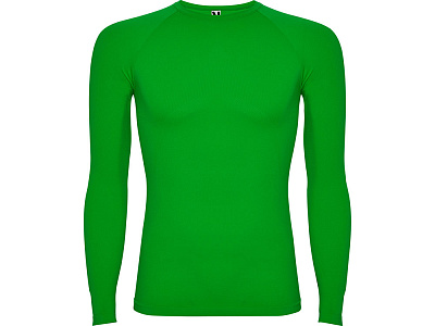 Термофутболка с длинным рукавом Prime мужская (Папоротниковый)