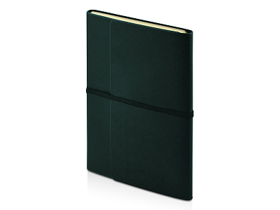 Ежедневник недатированный А5 Valencia