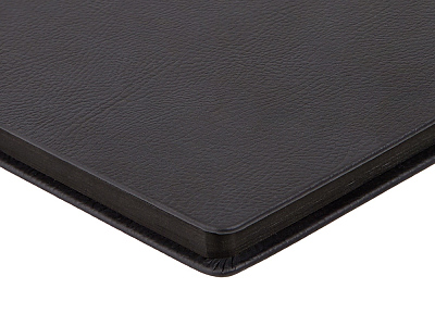 Ежедневник А5 датированный Megapolis Nappa на 2026