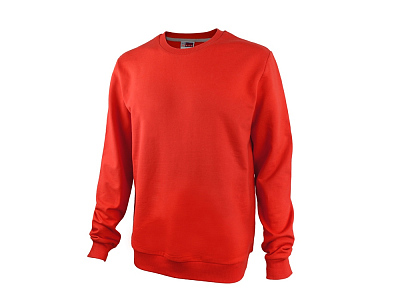 Свитшот Motion с начесом, унисекс