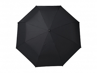 Зонт складной Hamilton (Черный)