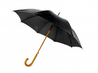 Зонт-трость Радуга (Черный)