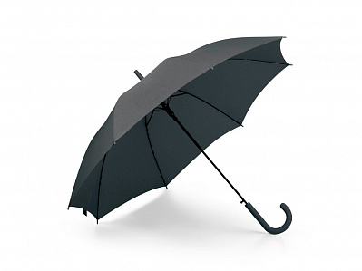 Зонт с автоматическим открытием MICHAEL (Черный)