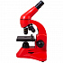 Монокулярный микроскоп Rainbow 50L с набором для опытов, красный - Фото 2
