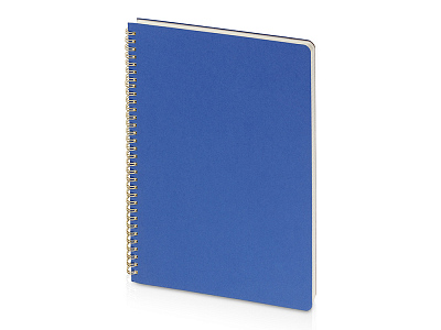 Бизнес-тетрадь А4 Pragmatic