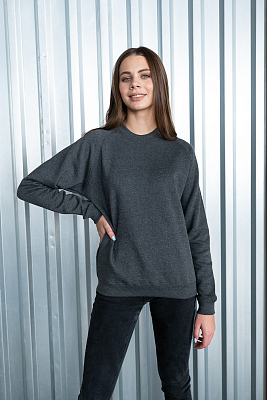 Свитшот унисекс STAN футер с начёсом 260, 53