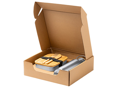 Набор с ланч-боксом и бутылкой БАГНЕР