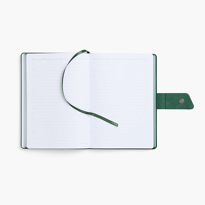 Ежедневник Boom, недатированный, черный с зеленым