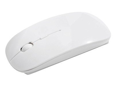 Мышь оптическая беспроводная Desmo в кейсе