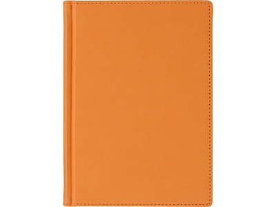 Ежедневник недатированный А5 Velvet