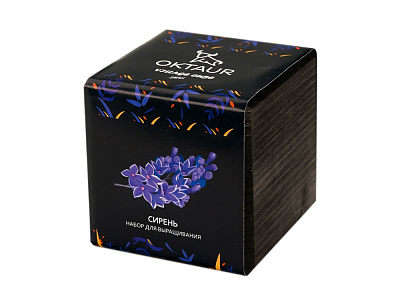 Набор для выращивания Small village cube Сирень (Чёрный)