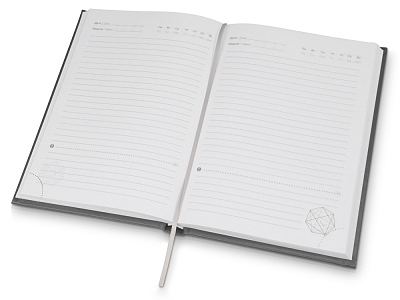 Ежедневник недатированный А5 Probe AR