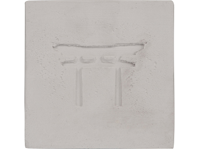 Подарочный набор Вырасти Бонсай дома. Жасмин