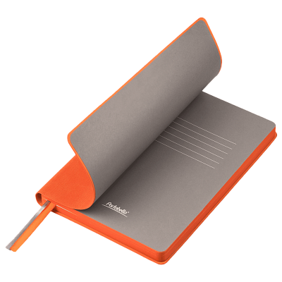 Ежедневник Рейн (Rain) недатированный, оранжевый (Оранжевый, серый)