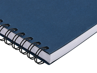 Ежедневник недатированный А5 Pragmatic