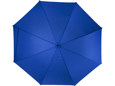 Зонт-трость Ibi