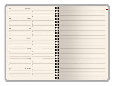 Еженедельник недатированный А5 Concept