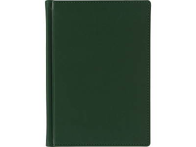 Ежедневник недатированный А5 Velvet