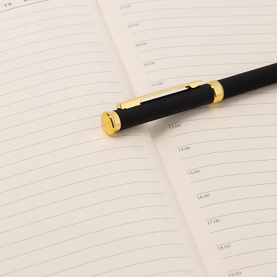 Шариковая ручка Бенуа (Benua), черная/позолота