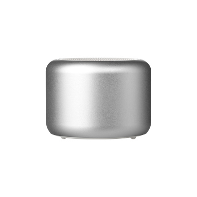 Беспроводная колонка Passion 80dB 600 mAh (Bluetooth 5.4), серебряная