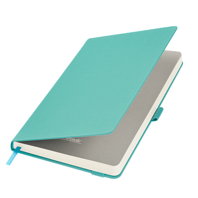 Ежедневник Alpha недатированный, бирюзовый/серый (Бирюзовый, серый, бежевый)