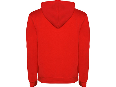 Толстовка с капюшоном Urban мужская