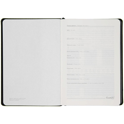 Ежедневник Alanis, недатированный, черный с зеленым