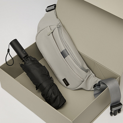 Подарочный набор Boston, Filton, серый (поясная сумка, зонт)