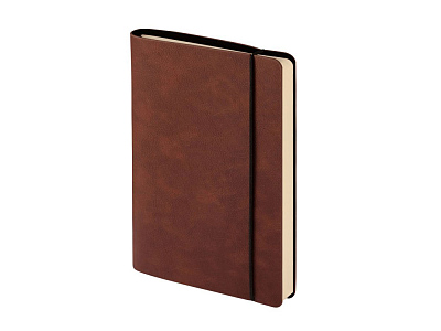 Ежедневник недатированный А5 Palermo