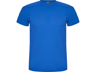 Спортивная футболка Detroit мужская (Королевский синий/светло-синий)