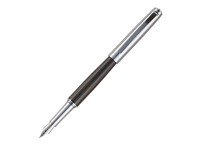 Ручка перьевая LEO (Серебристый, черный)