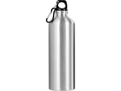 Бутылка Hip M с карабином, 770 мл